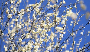 12 апреля в Молдове потеплеет