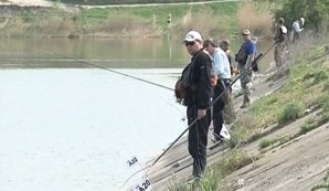 На столичном соревновании рыболовов участники отпускали пойманные трофеи