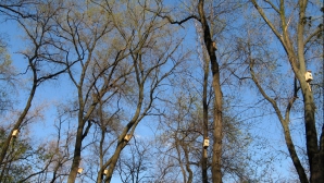 В стране 9 апреля до 10 градусов тепла