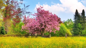 20 апреля на юге республики - 18 - 21 выше нуля