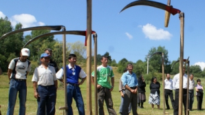 Киртоакэ возмущен тем, как следят за зелеными насаждениями: Мы все еще гуляем с косой по городу