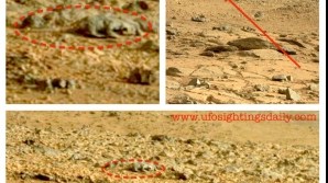 На Марсе нашли космическую ящерицу 