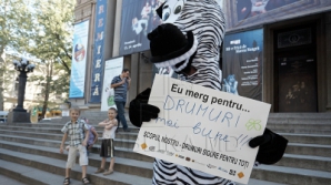 Участники флешмоба во главе с зеброй призвали к безопасности дорожного движения