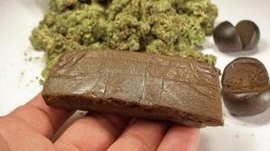 Полиция Испании изъяла более 50 тонн гашиша