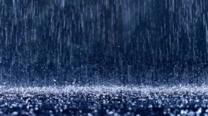 Дождь с градом нанес ущерб Каушанскому району