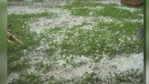 Дожди с градом повредили сотни гектаров угодий в районах страны