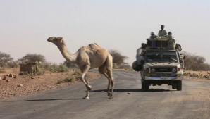 В Казахстане хотят ввести светоотражатели для «живого транспорта»
