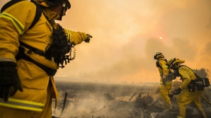 Пожарные погибли при тушении лесных пожаров в Аризоне