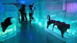 В Праге набирает популярность ледяной бар