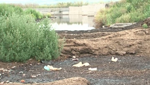 Жизнь среди отходов: жители села Буковэц терпят "ароматы" местной птицефабрики