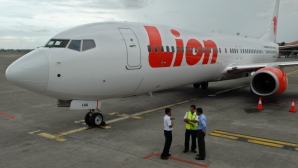 Индонезийский самолет сошел с ВПП из-за столкновения с коровой