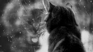 В Кишиневе 28 августа малооблачно, дожди и + 23