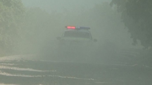 Визит Лянкэ в Сынжерей: кортеж премьера скрылся в плотном облаке пыли 