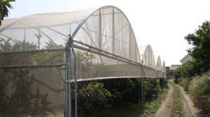 Фермер-волонтер из США обучает молдавских земледельцев современному сельскому хозяйству