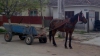 Дорожная сводка за последние сутки: 10 аварий, мужчина скончался, попав под лошадь