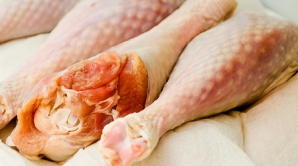 Мясо было заражено сальмонеллой непосредственно в ресторане Golden Nica 