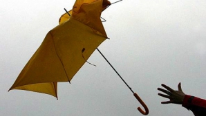 Метеорологи: Ветер может повалить деревья и оборвать провода