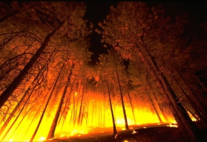 Лесные пожары из-за жары бушуют в Калифорнии и Португалии