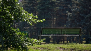 Итальянец найден повешенным в парке на Буюканах