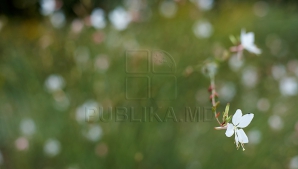 10 сентября в стране до 24 тепла