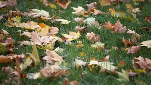 Октябрь в Молдове начнется с облачной погоды и дождей