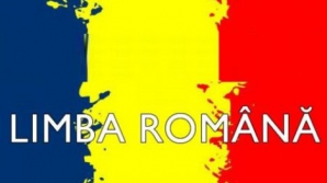 Кишиневские власти о запрете термина "румынский язык": гагаузские политики уже готовятся к выборам