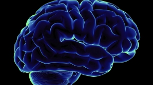 Ученые выяснили, что в старости наш мозг ржавеет в буквальном смысле