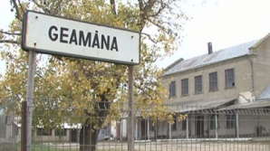 Свора собак наводит ужас в селе Джамэна Новоаненского района