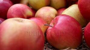 Благодаря евроинтеграции у молдавских фермеров появится шанс беспошлинно экспортировать урожай в страны ЕС