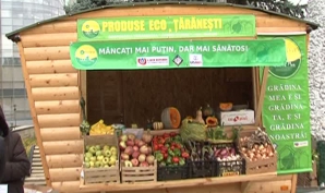 В республиканском центре ARTICO прошла ярмарка экологической продукции