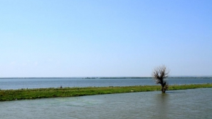 Выплаты от страховки водоемов позволят покрыть расходы на ремонт прорвавшихся дамб