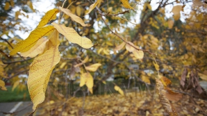 В Кишиневе 2 ноября солнечно и 18 градусов с плюсом