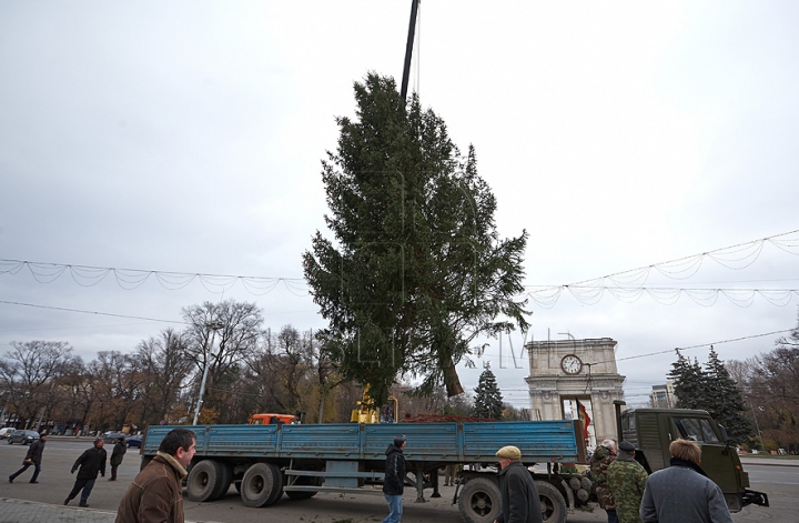 В Кишиневе установили главную елку страны (ФОТО/ВИДЕО)