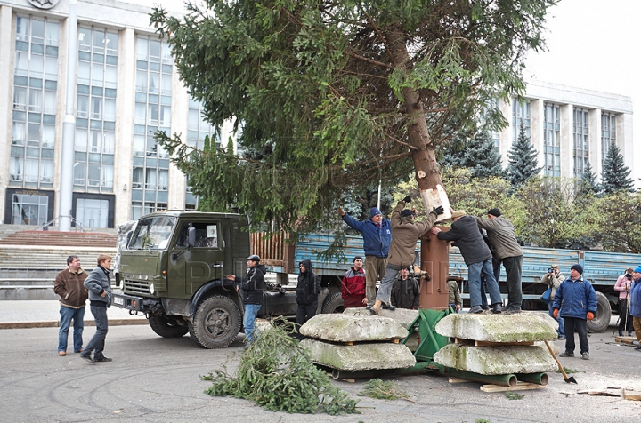 В Кишиневе установили главную елку страны (ФОТО/ВИДЕО)