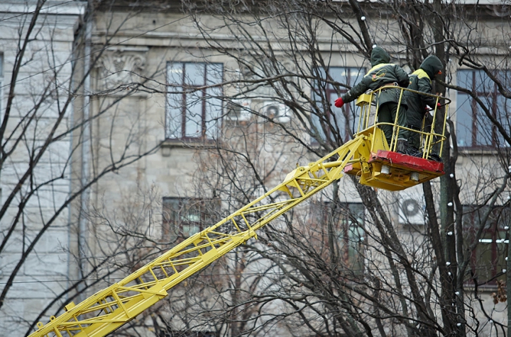 В Кишиневе установили главную елку страны (ФОТО/ВИДЕО)