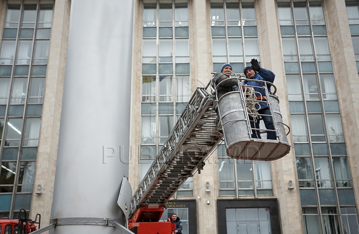 В Кишиневе установили главную елку страны (ФОТО/ВИДЕО)