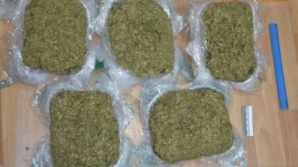 Полицейские изъяли на границе 10 кг марихуаны из Греции