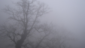 В понедельник в Кишиневе туман и 5 градусов выше нуля