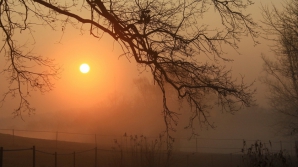 В Молдове 4 декабря ясно, без осадков, ветер слабый до умеренного