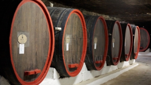 "Государству следовало бы помочь молдавским виноделам с продвижением своей продукции"