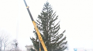 На центральной площади Бельц установили новогоднюю елку