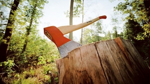 Власти разработали стратегию, призванную защитить лесной фонд