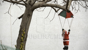 На юге страны 15 января до 10 градусов тепла