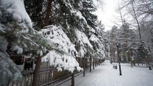 Ночью в республике резко похолодает, днем, 31 января, на севере Молдовы будет -16