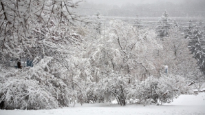 27 января на всей территории страны ожидается снег и метели 