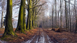 В ближайшие сутки в Молдове температура воздуха будет повышаться