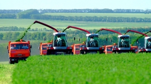 Венгрия предоставляет молдавским студентам стипендии для получения степени магистра в области сельского хозяйства
