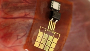 Ученые заставили человеческий организм вырабатывать ток