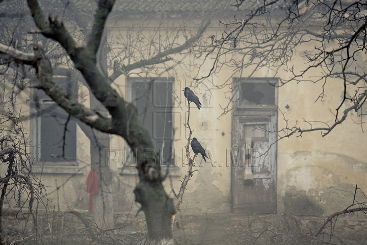 Туман спутал планы пассажиров аэропорта и стал проблемой для водителей (ФОТО/ВИДЕО)