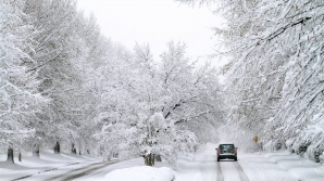 В США задержали подозреваемого в угоне машин во время снежной бури